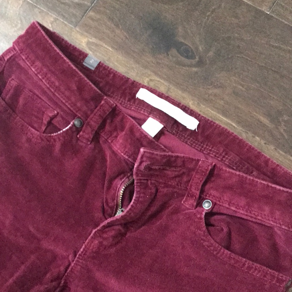 LC Lauren Conrad pants